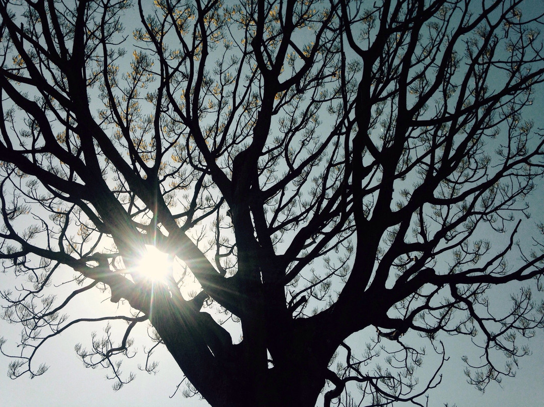 Capela São Rafael-Rolandia必去景点