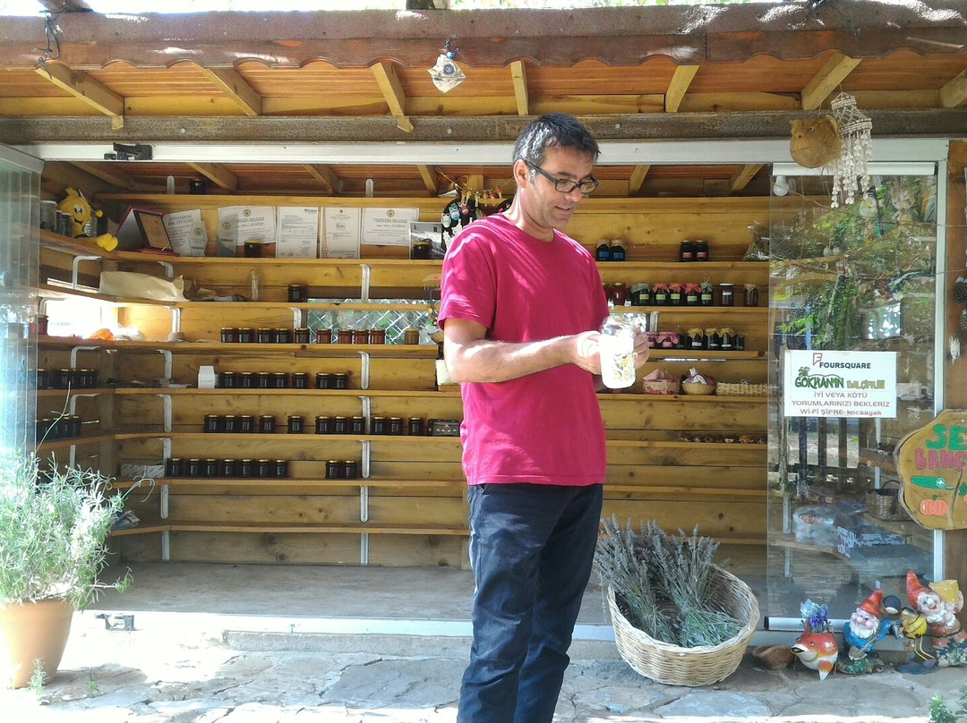 Gokhanin Bal Ciftligi景点图片