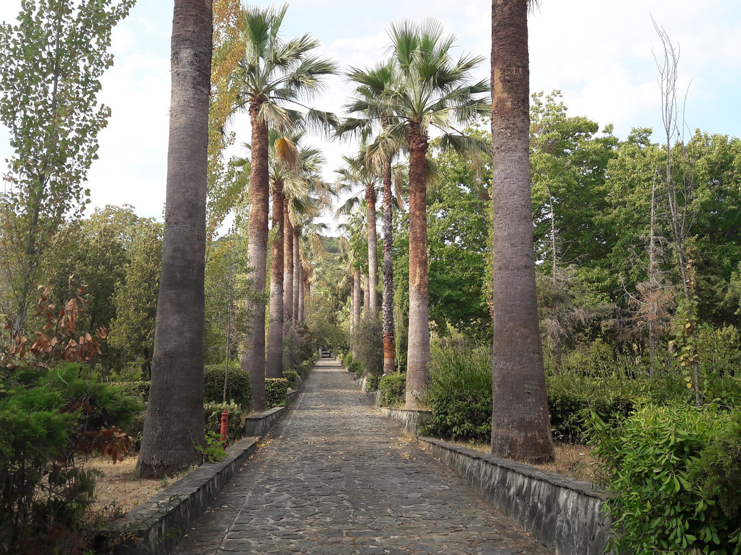 Il giardino botanico di Lamezia Terme景点图片