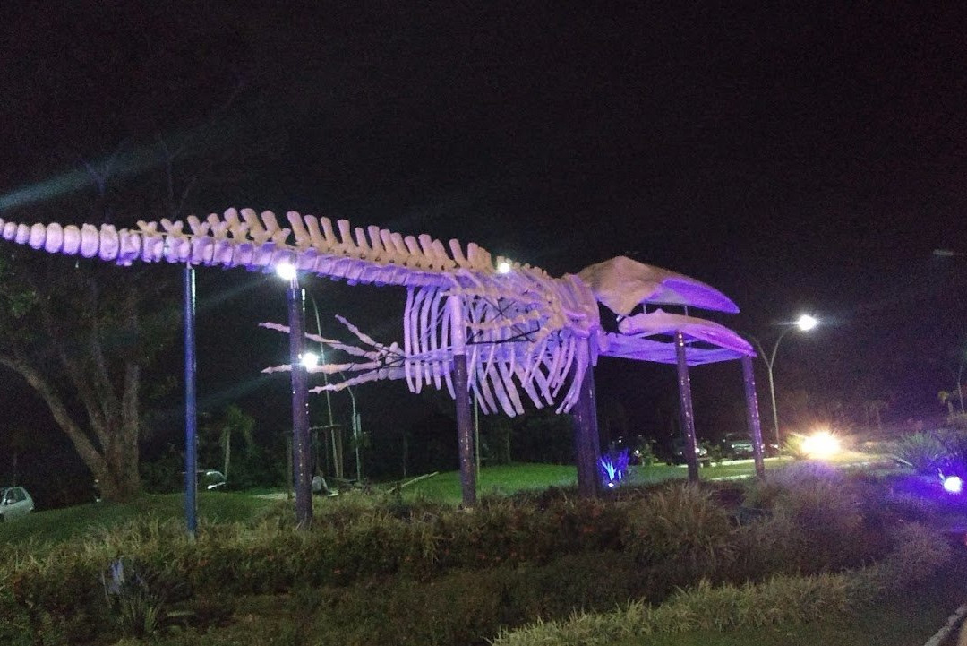 Praca da Baleia-乌巴图巴必去景点