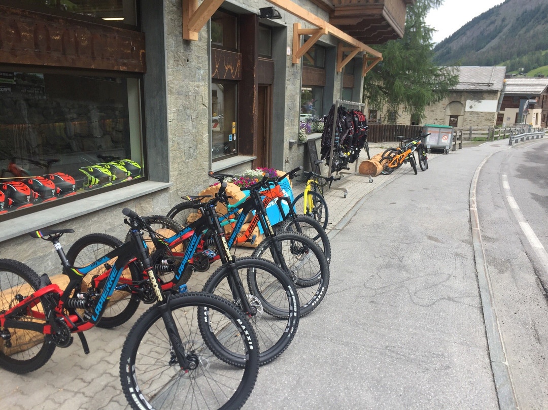 David's Rental Ski & Bike-利维尼奥必去景点