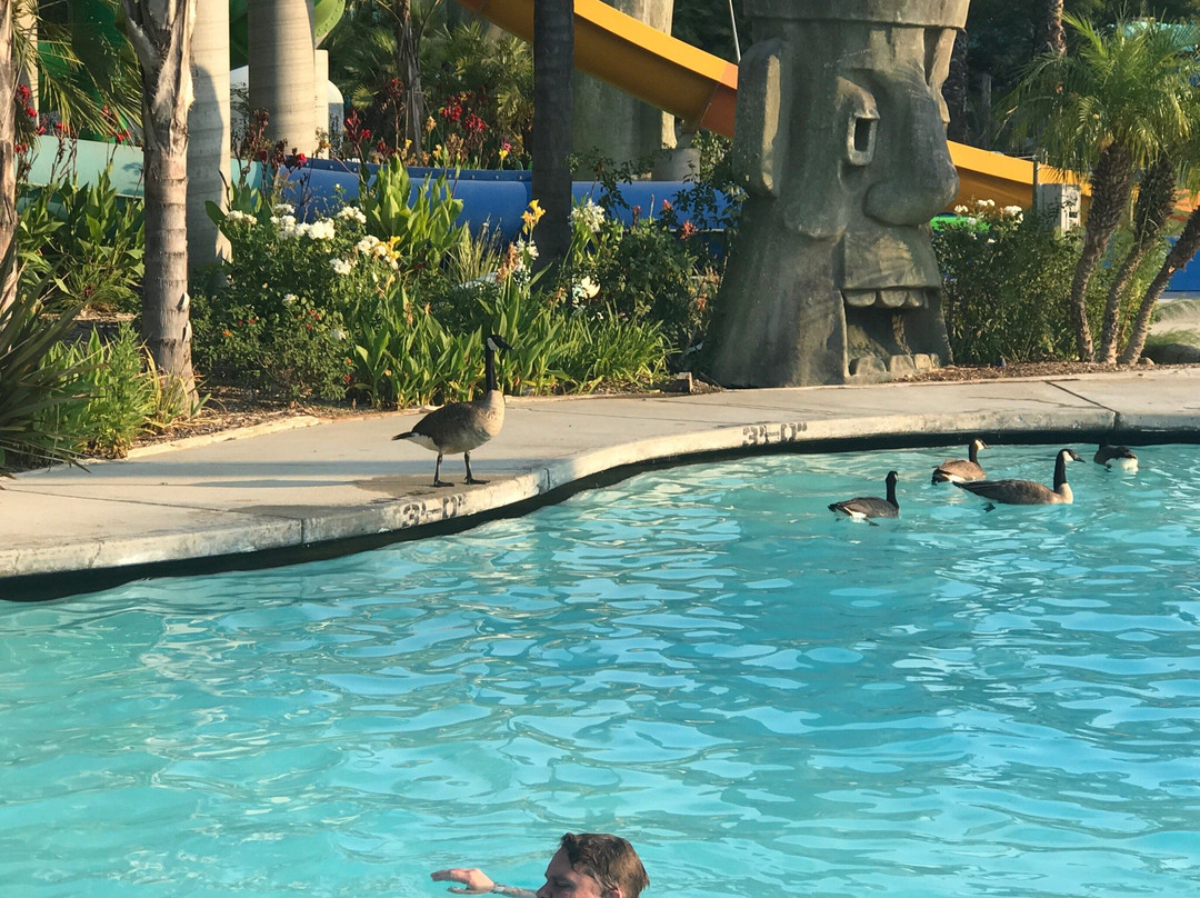 Six Flags Hurricane Harbor Los Angeles景点图片