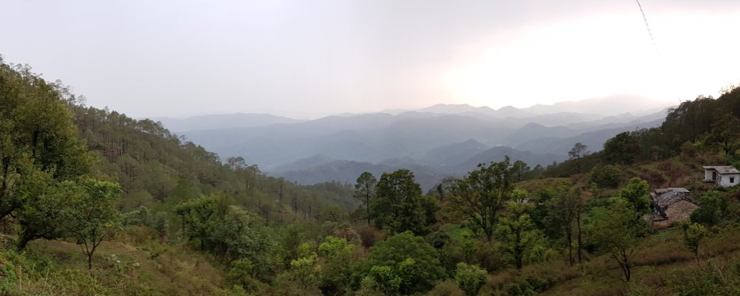 The Tiger Resort主图