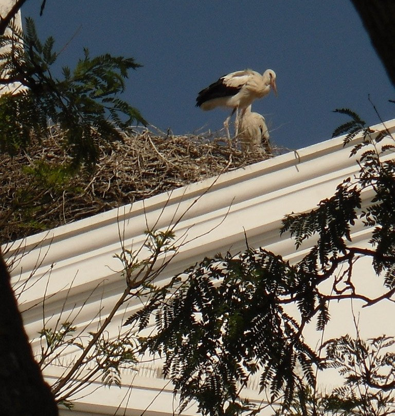 Faro Airport Transfers Algarve-法罗必去景点