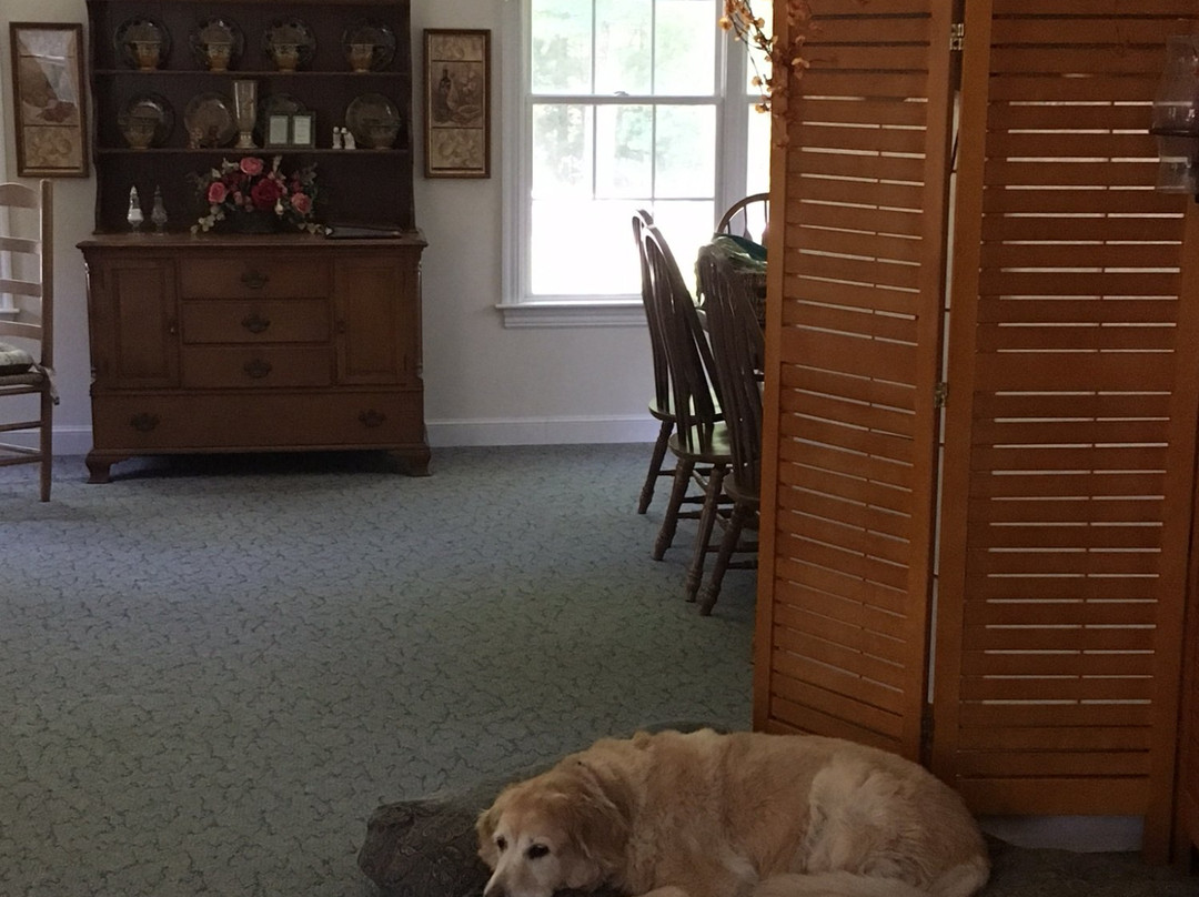 The Inn at Restful Paws主图