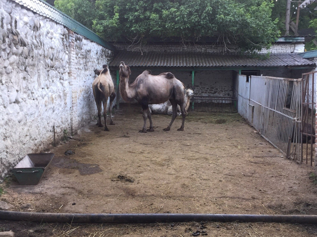 Nalchik Zoo-Nalchik必去景点