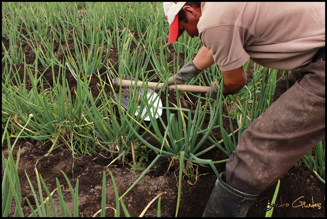 Visit Sugamuxi-Sogamoso必去景点