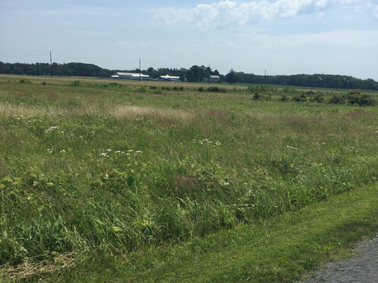 Lawrence Hopewell Trail-Hopewell必去景点