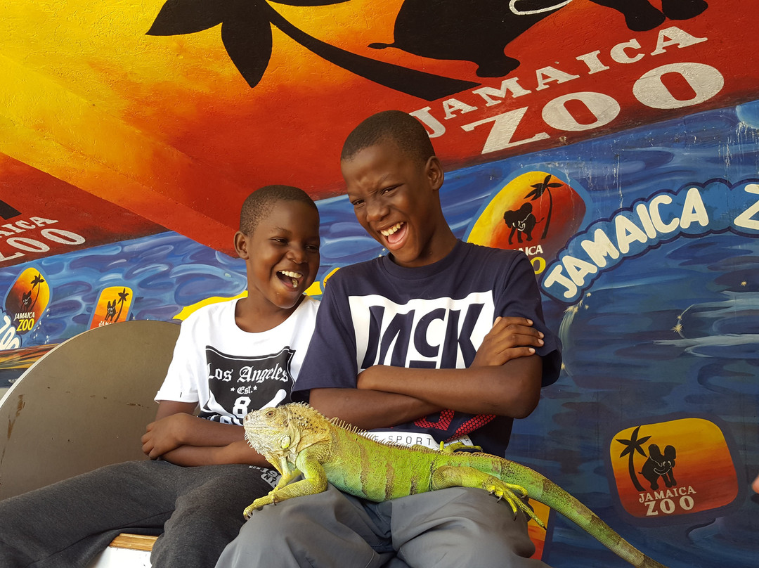 Jamaica Zoo-Lacovia必去景点