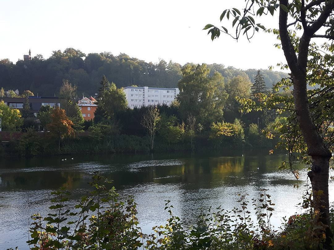 Traun旅游攻略图片