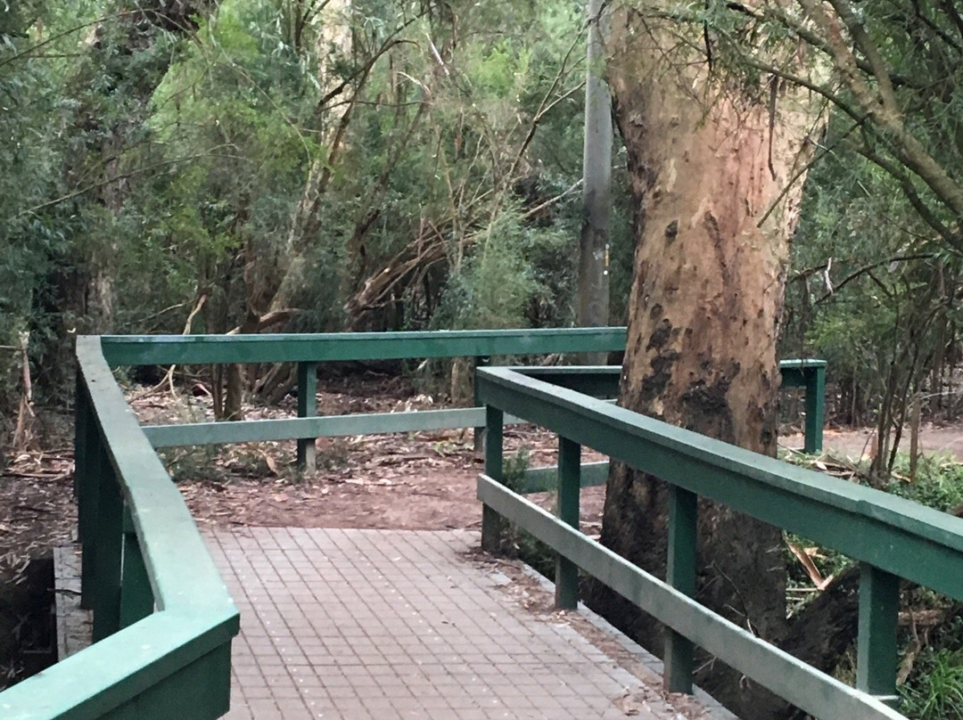 Wilsons Reserve景点图片