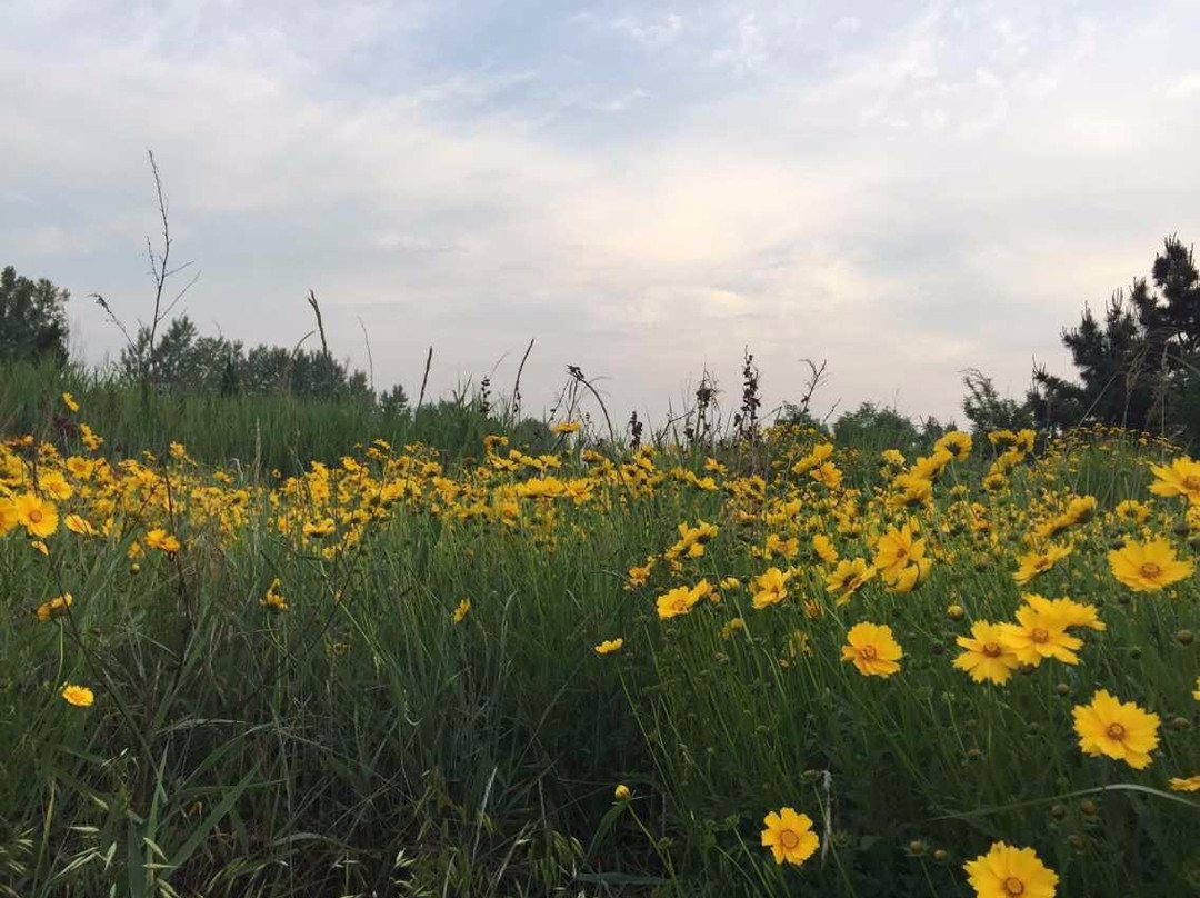 琅琊台风景区-胶南市必去景点