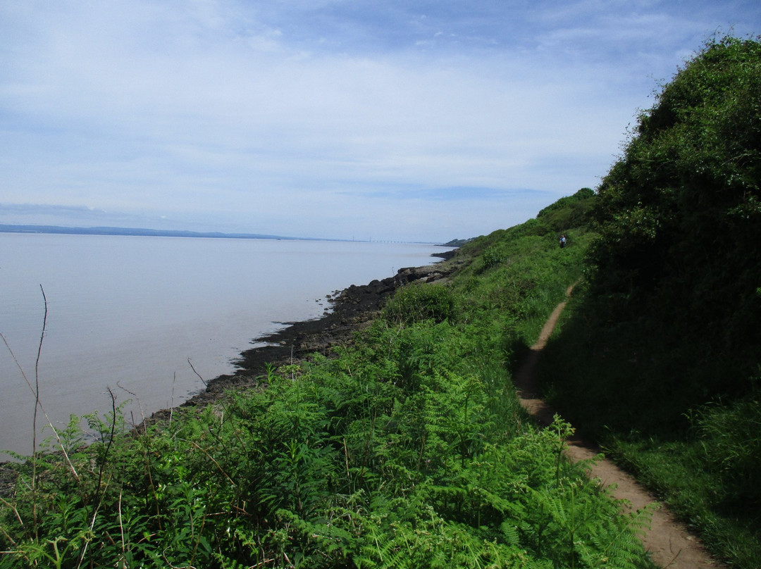 Lovers Walk Clevedon景点图片