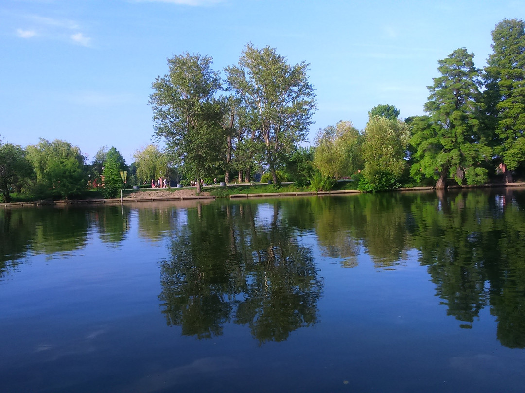 Herăstrau Park景点图片