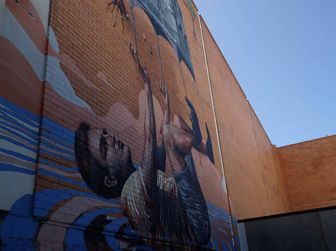 Street Art CBD Walking Trails-汤斯维尔必去景点