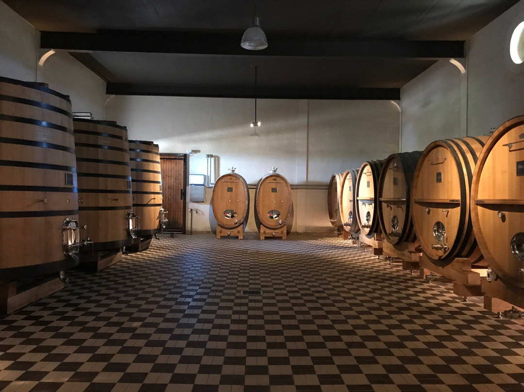 Domaine Jean-Marc Brocard景点图片