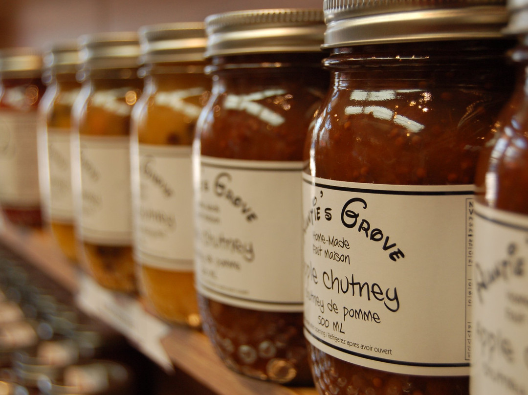 Bucket List Travel Adventures-Elmira必去景点