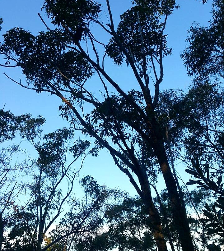 Heathcote National Park-Heathcote必去景点