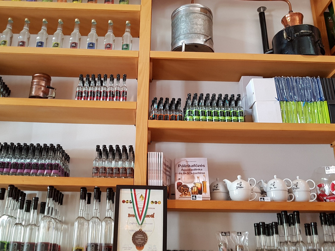 Zugfozde Palinka Museum景点图片