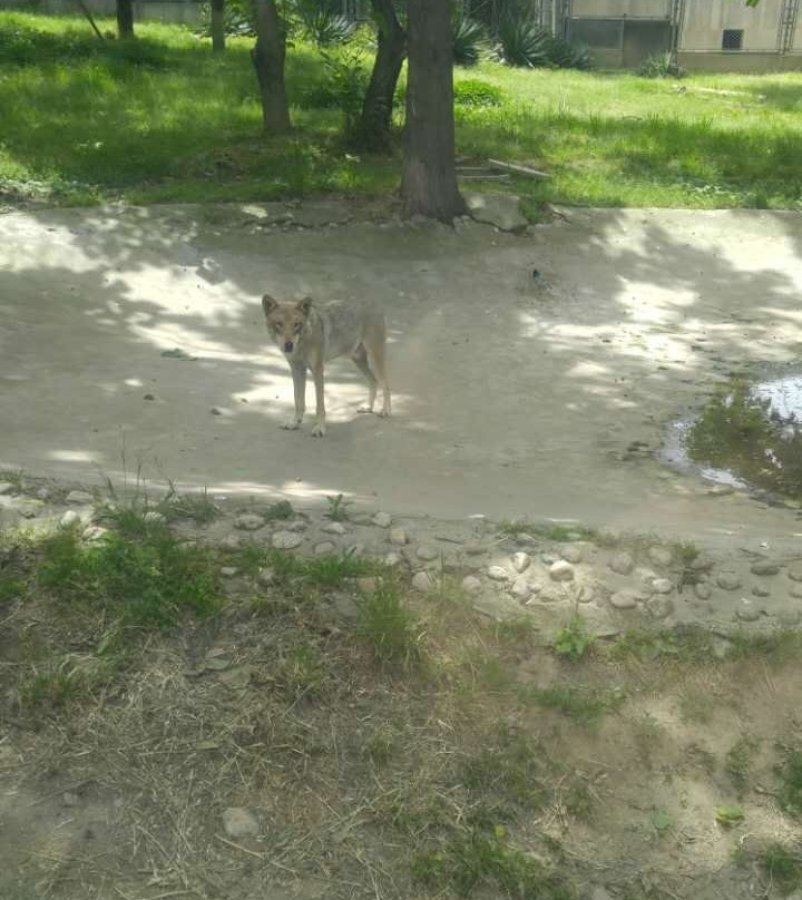 秦岭野生动物园-西安市必去景点