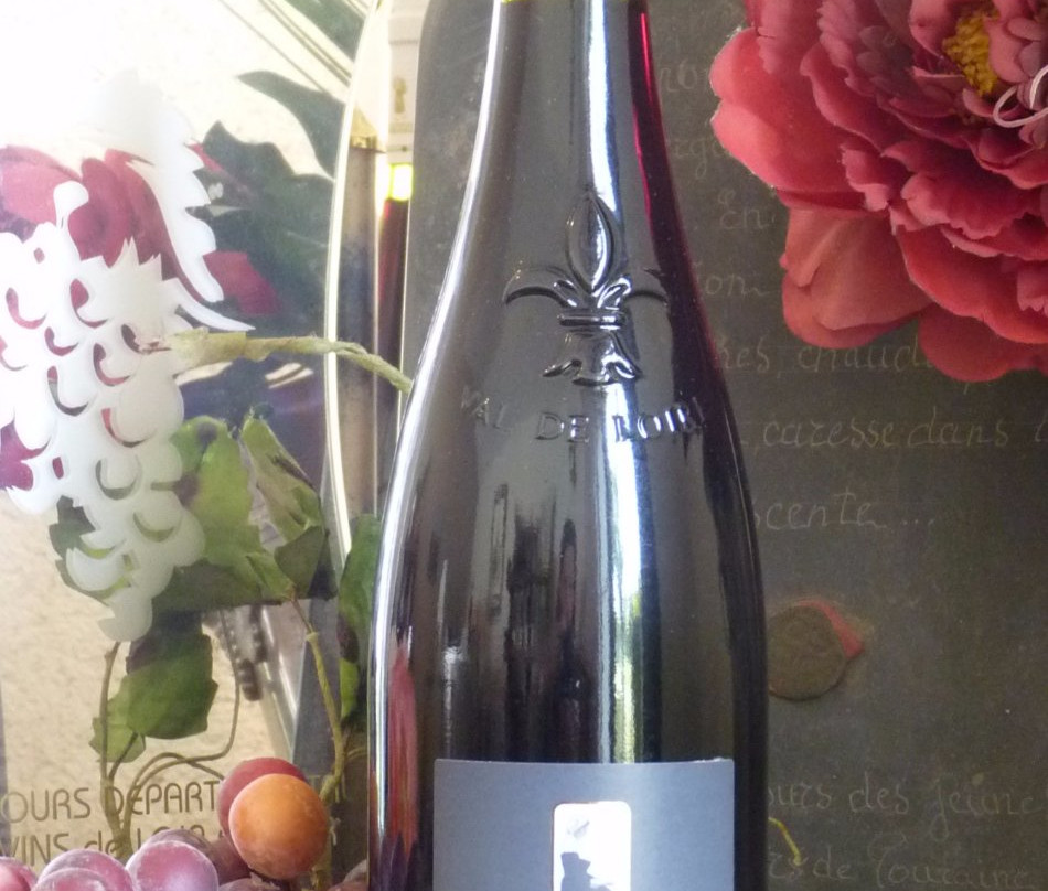Domaine de la Méchinière景点图片
