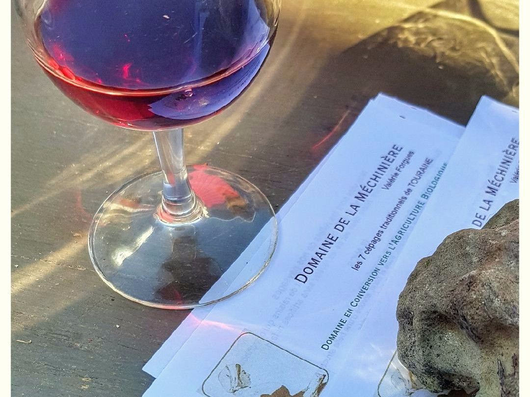 Domaine de la Méchinière景点图片