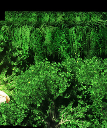 Whispering Walls景点门票图片