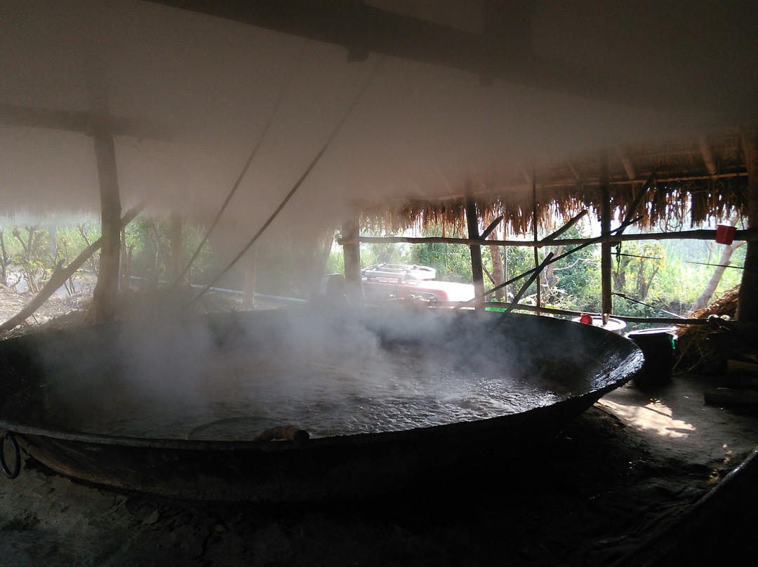 Marayoor Sandalwood Forest景点图片