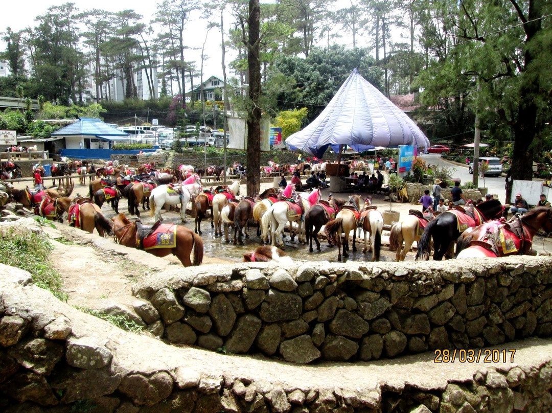 Riding Stable at Wright Park-碧瑶必去景点