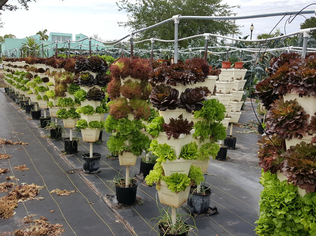 Ground Floor Farm-斯图尔特必去景点