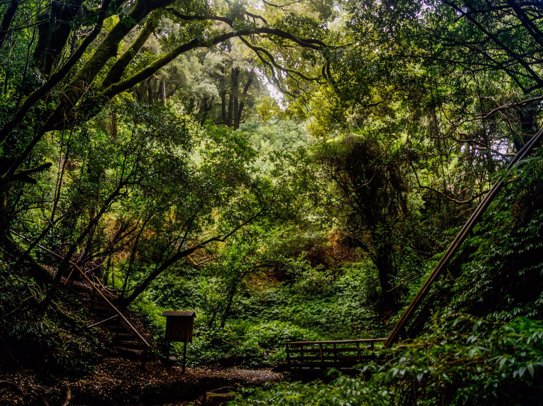 Isla Mocha-Tirua必去景点