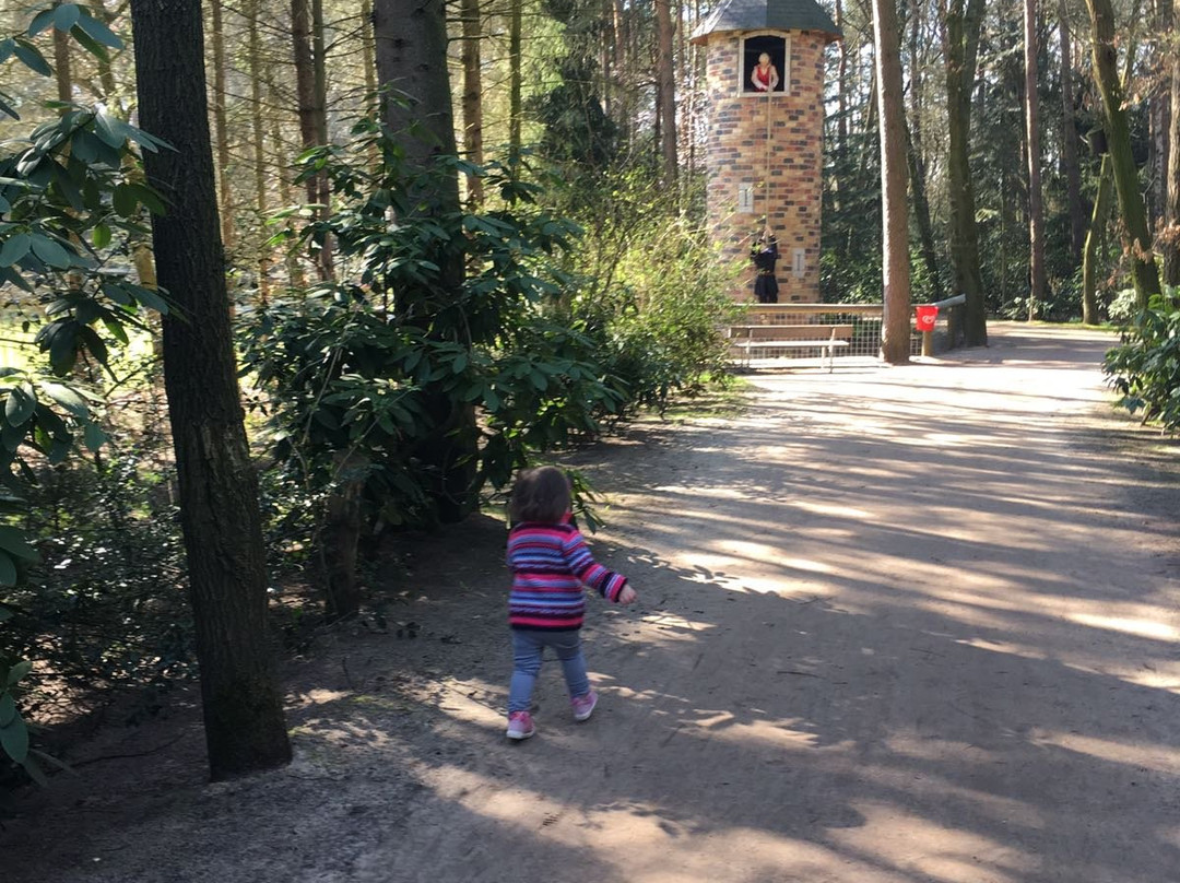 Wild- und Freizeitpark Ostrittrum景点图片