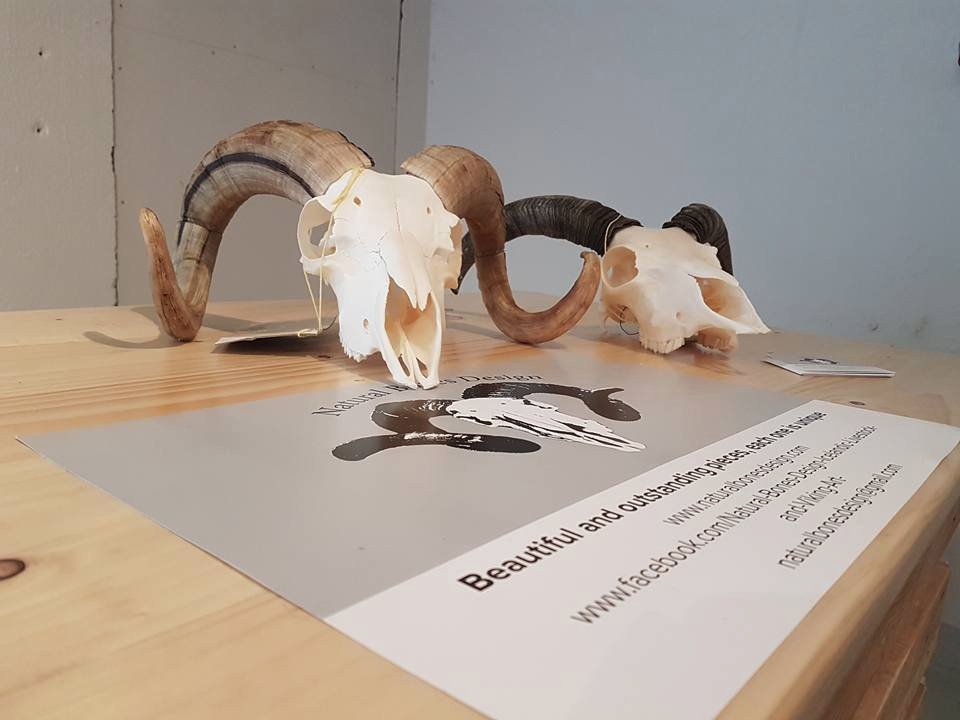 Verzlunin Aegissida-华姆斯唐吉必去景点