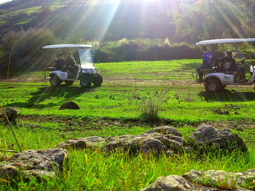 Yarok Bashvil-Shadmot Dvora必去景点