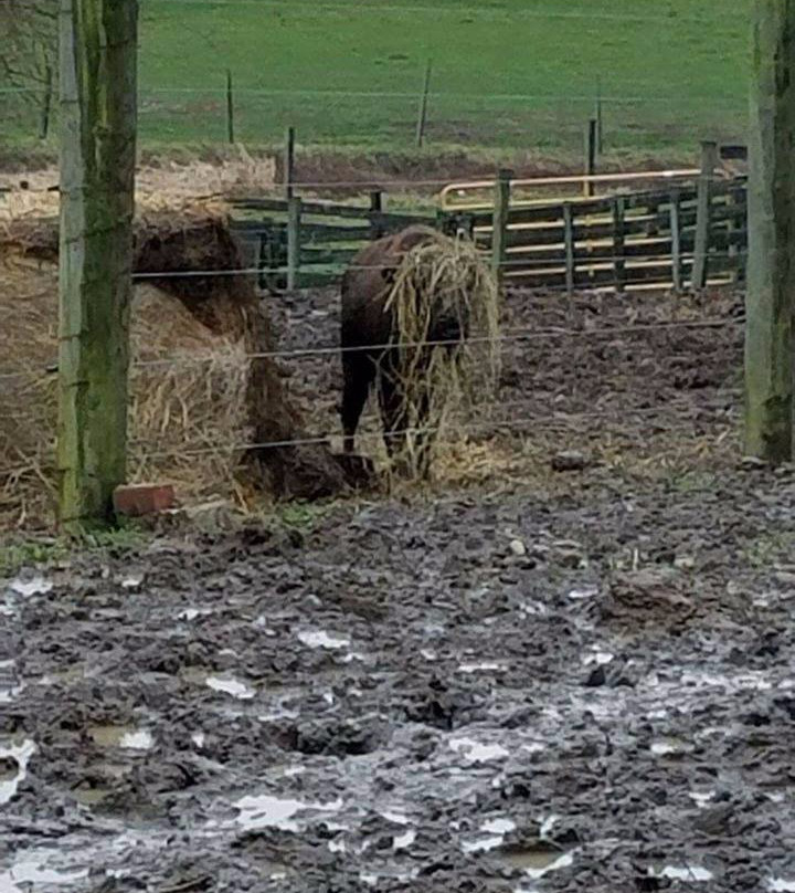 Boss Bison Ranch-Cadiz必去景点