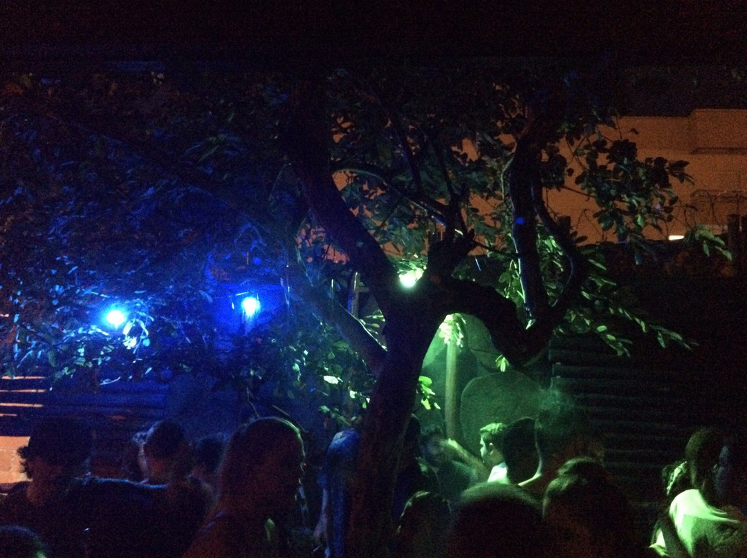 Vinil cultura bar-乌贝兰迪亚必去景点