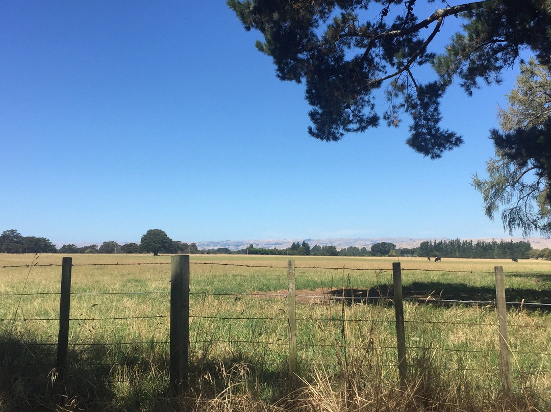 Greytown Woodside Trail景点图片