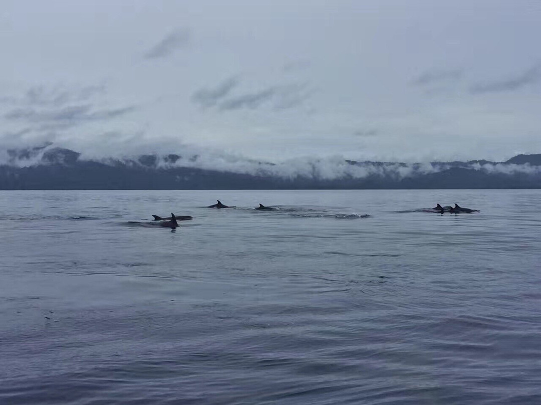 Putih Lessi Indah主图