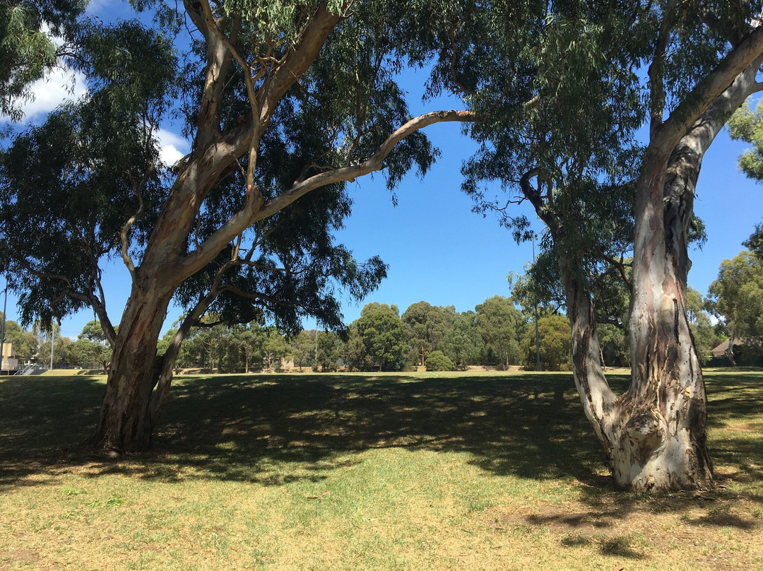 Stradbroke Park景点图片