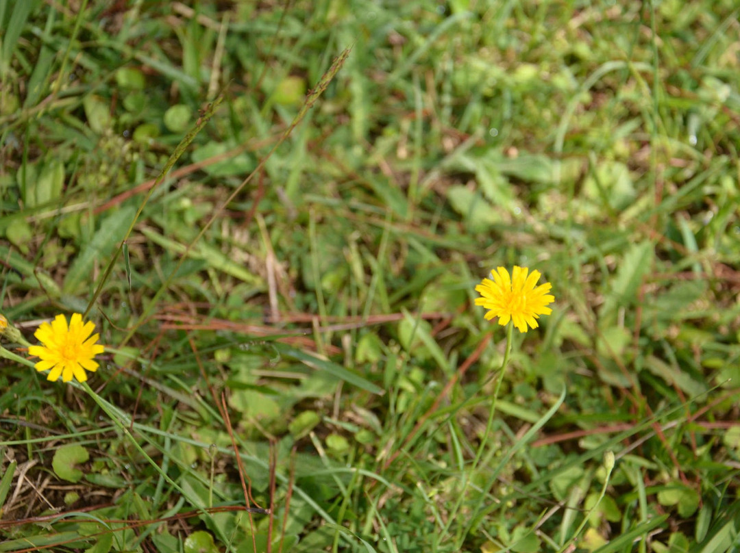 Lake of Sighs (Ho Than Tho)-大勒必去景点