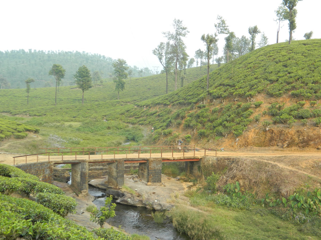 Koolangal River景点图片