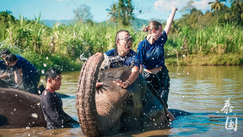 Baanchang Elephant's Paradise-夜登必去景点
