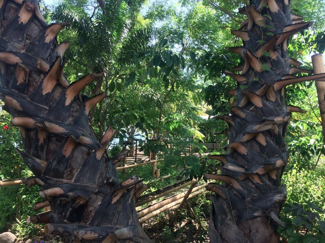 Pantai Paris Homestay主图