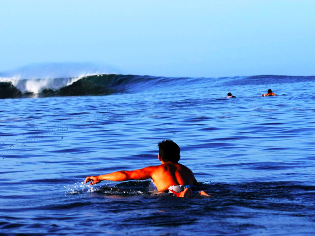 Surfer Paradise Surf Camp