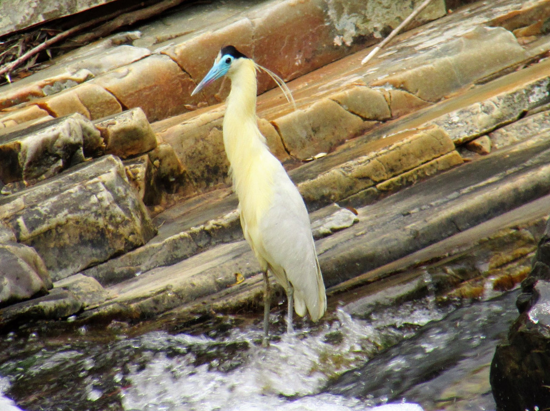 Balneario Praia Grande-Pirenopolis必去景点