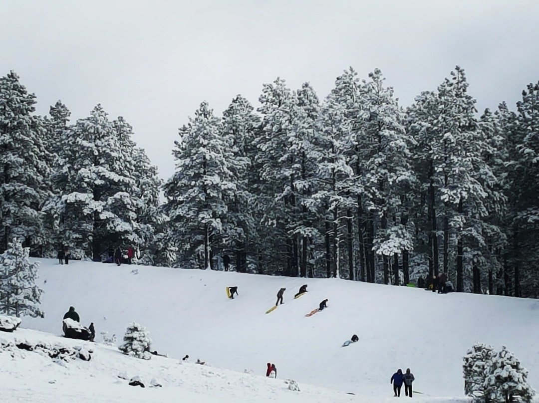 Crowley Pit-弗拉格斯塔夫必去景点