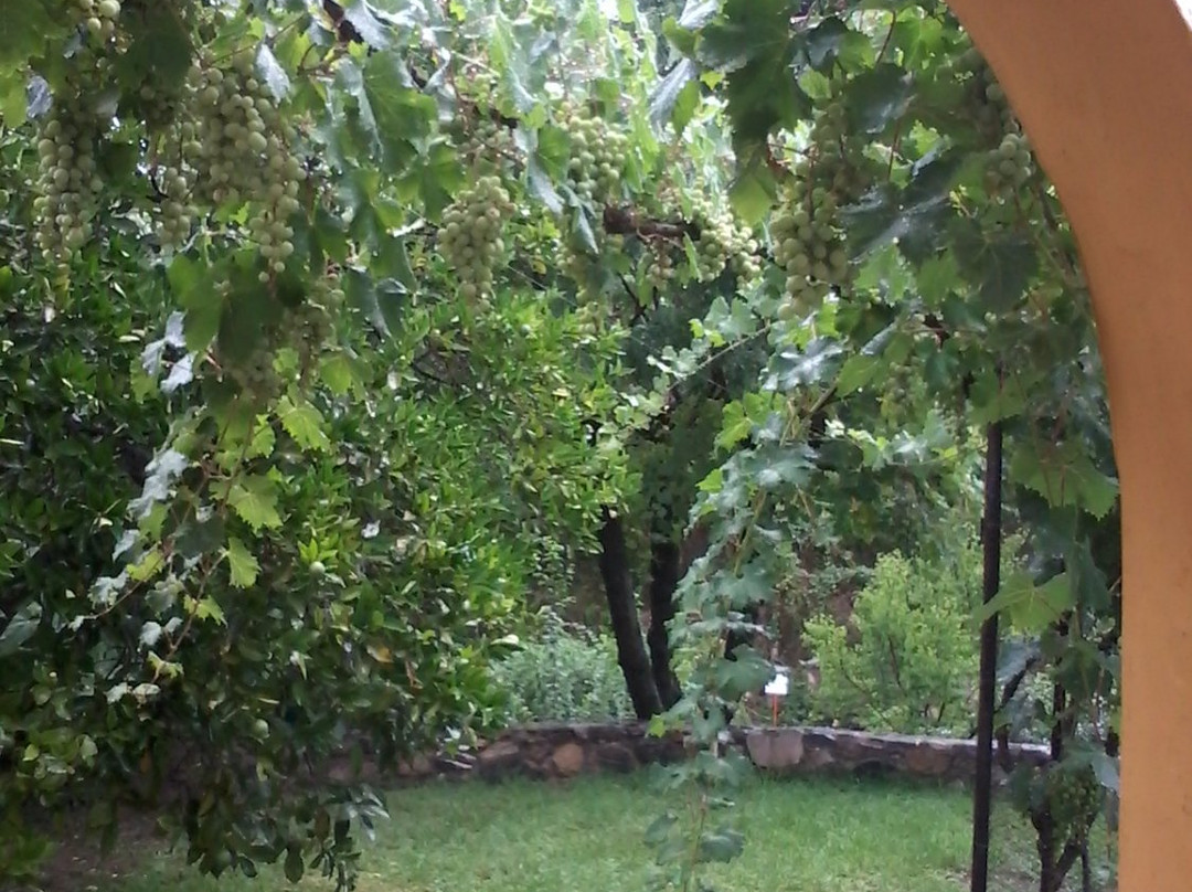 Hosteria La Pergola主图