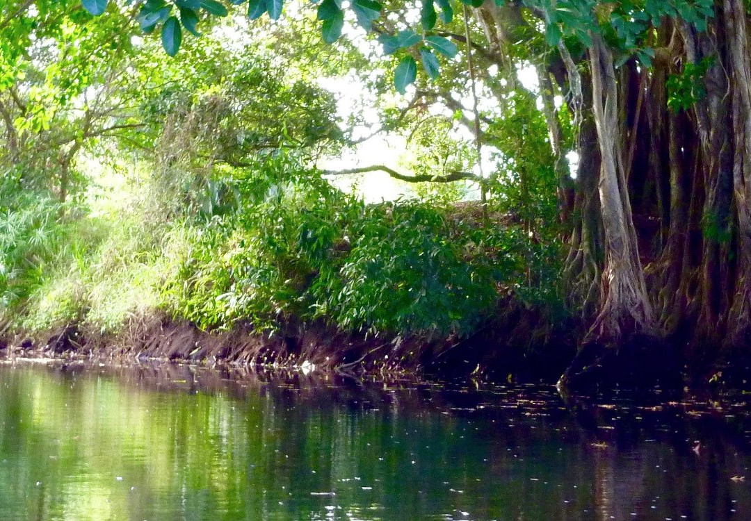 All About Water-博尼塔斯普林斯必去景点