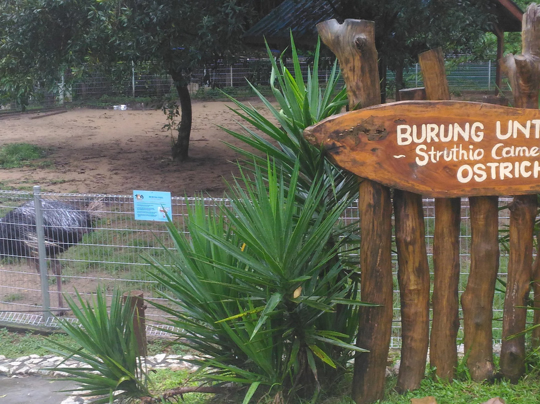 Mini Zoo Taman Teruntum景点图片