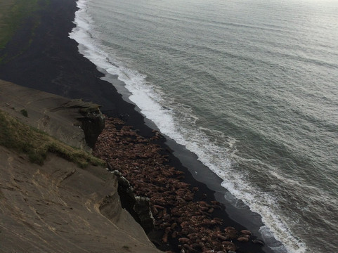 Neacola Mtn Air, LLC-瓦西拉必去景点